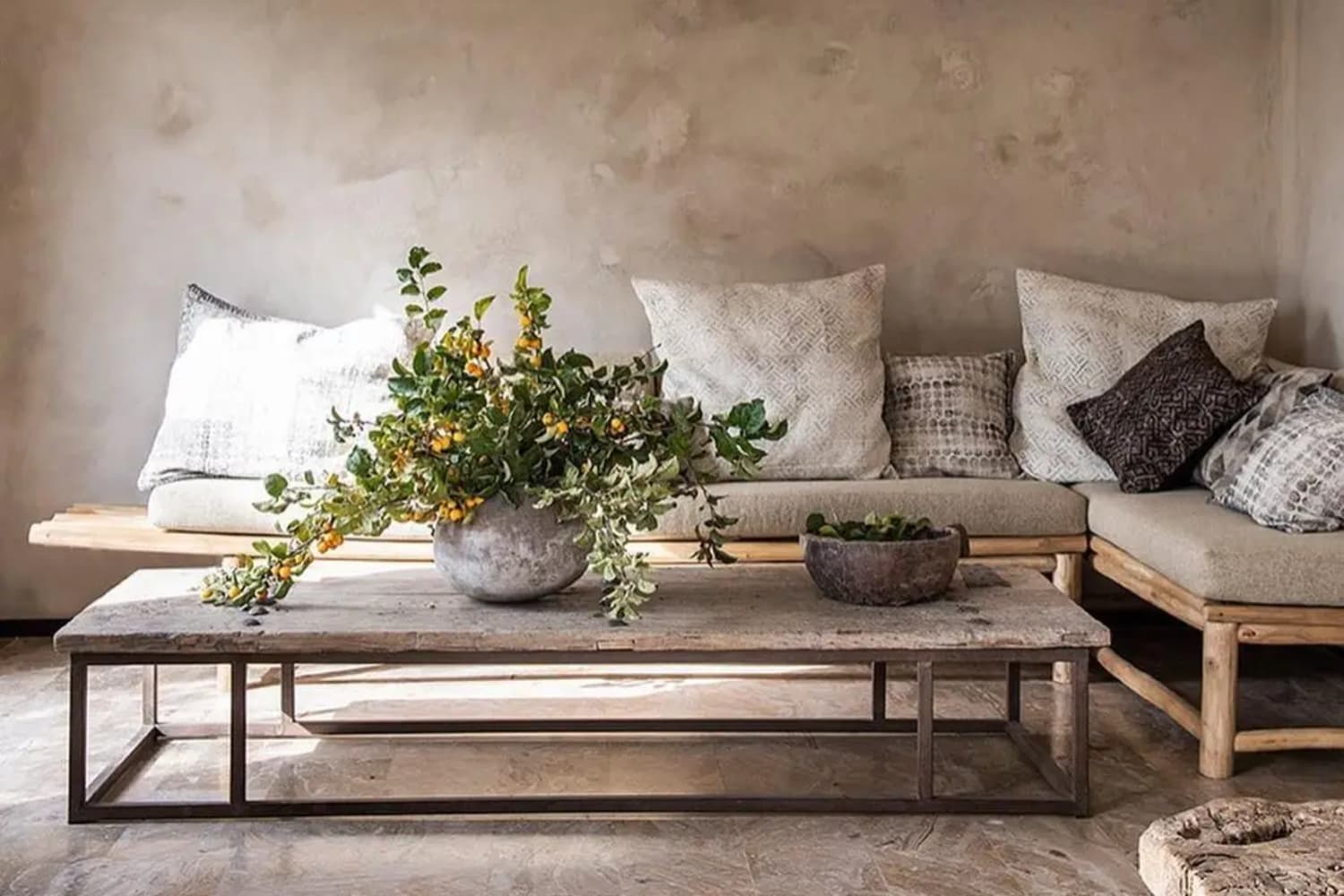 Coffee table plants sale